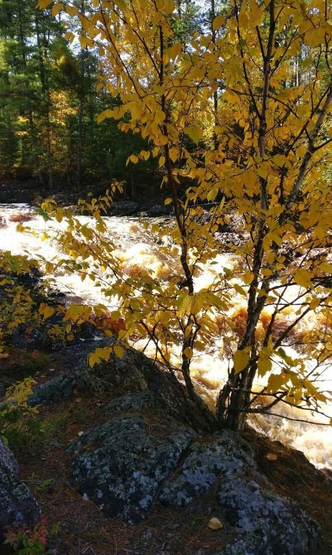 Amnicon Falls State Park景点图片