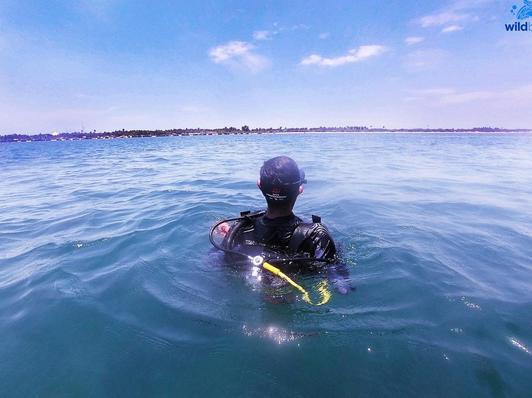 Wild Blue Diving-Thoothukudi必去景点