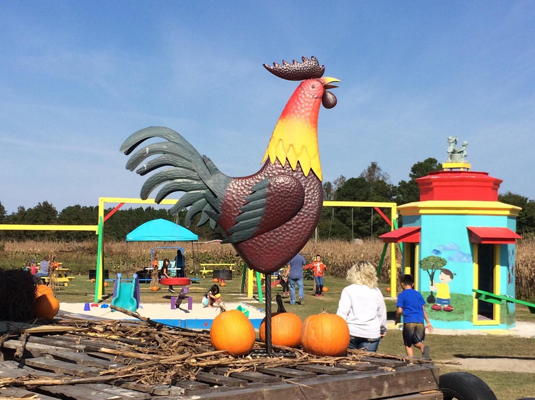 Fun Time Farm and Corn Maze