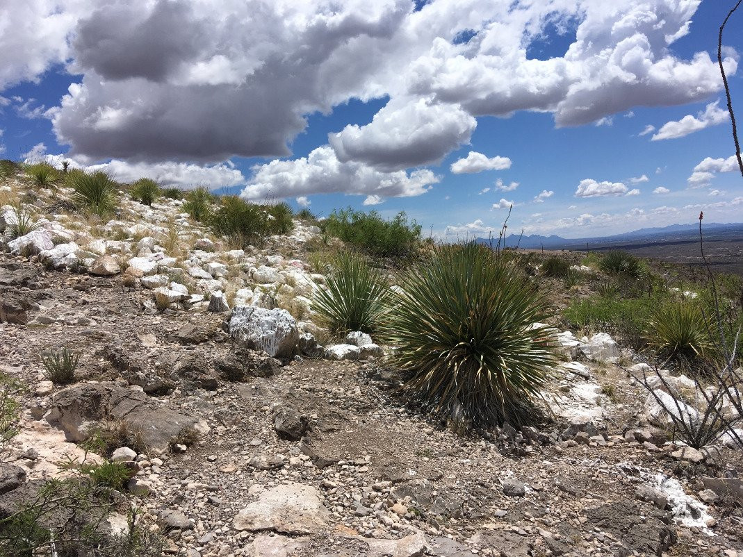 Mesilla Park旅游景点-Tortugas Mountain