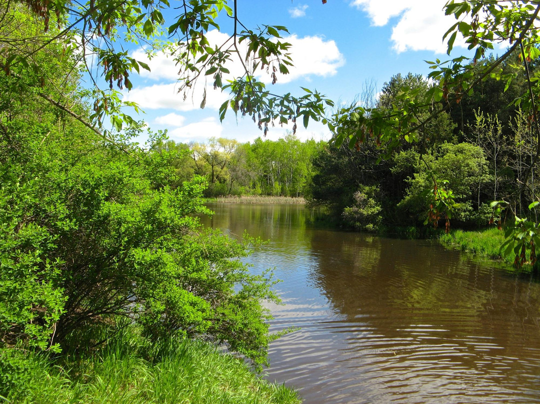 Battle Creek Dog Park景点图片