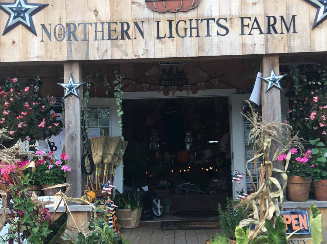 Northern Lights Farm Stand景点图片