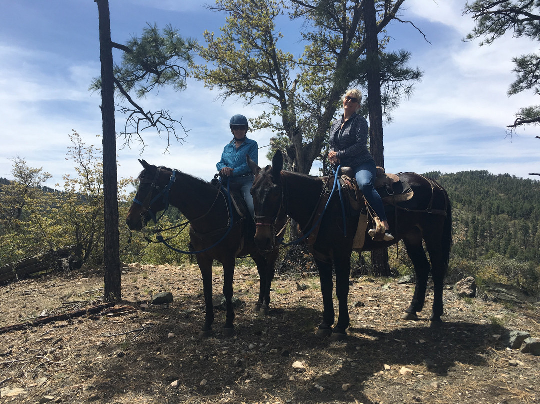 Prescott Horseback Riding-普雷斯科特必去景点