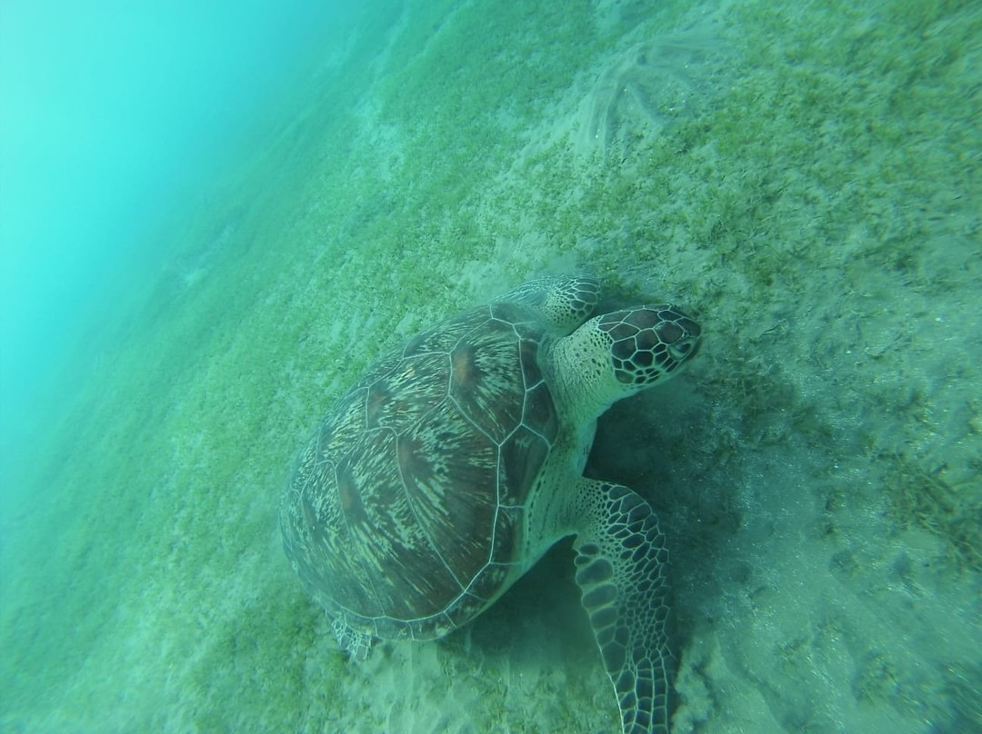 Habibi Viaggi-马萨阿拉姆必去景点