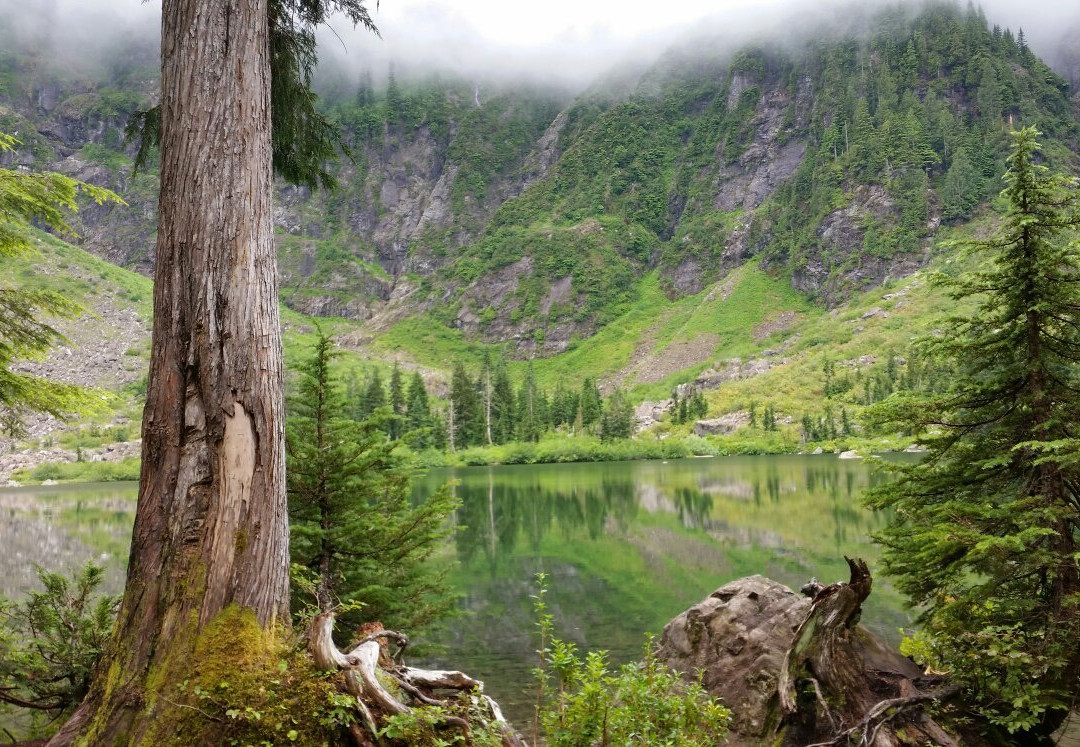 Heather Lake Trail景点图片