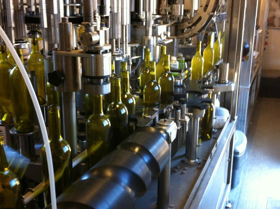 Cellar Rat Wine Tours-弗雷德里克斯堡必去景点