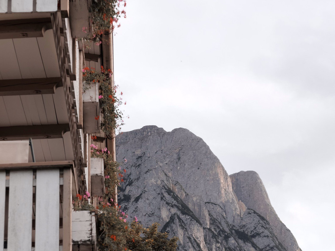 Parc Hotel Florian主图