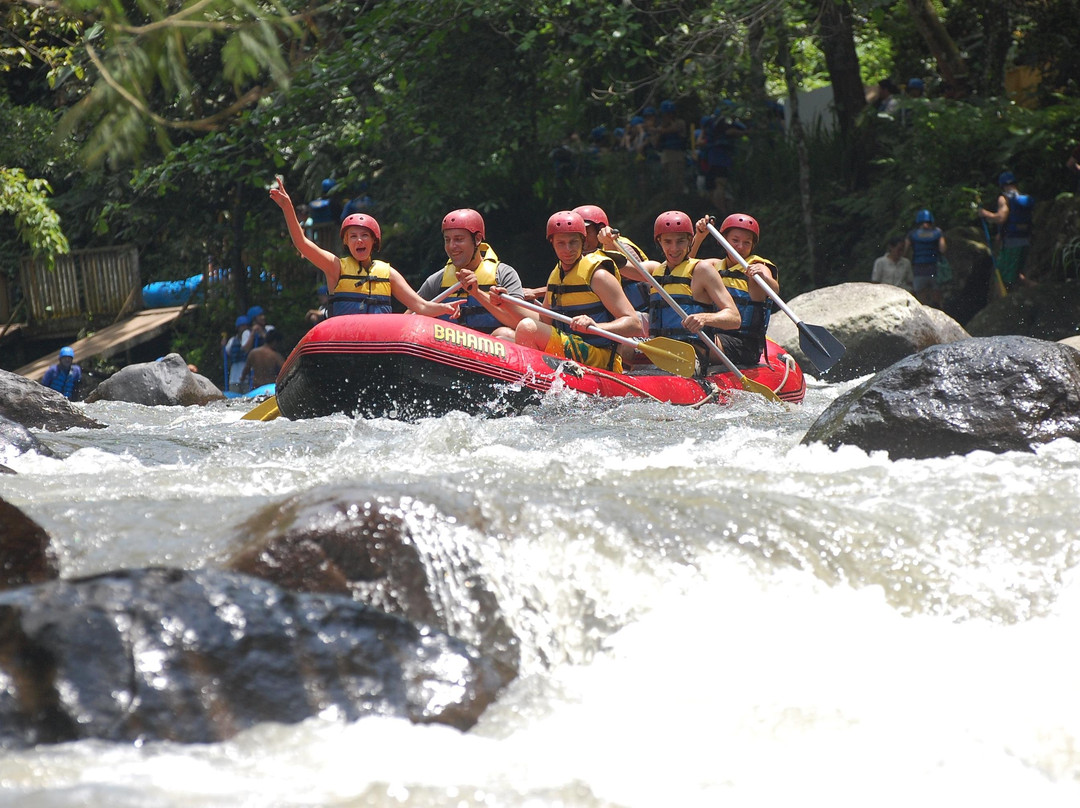 Easy Rafting and Swing Bali景点图片