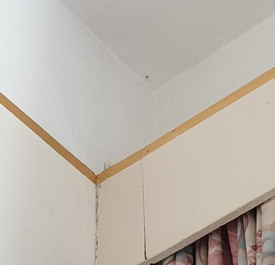 Ponte di Rialto主图