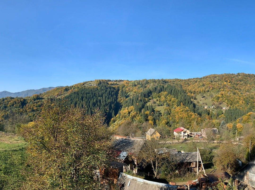 Rakhiv Plai