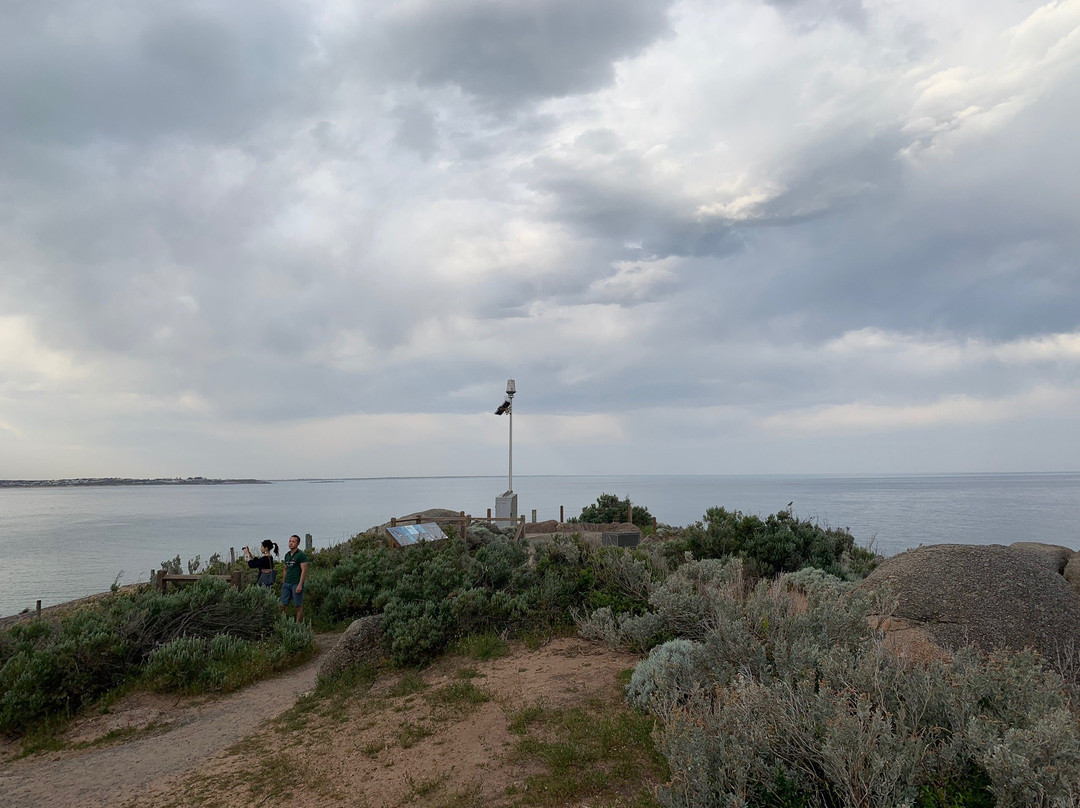 Kaiki Walk - Granite Island-维克多港必去景点