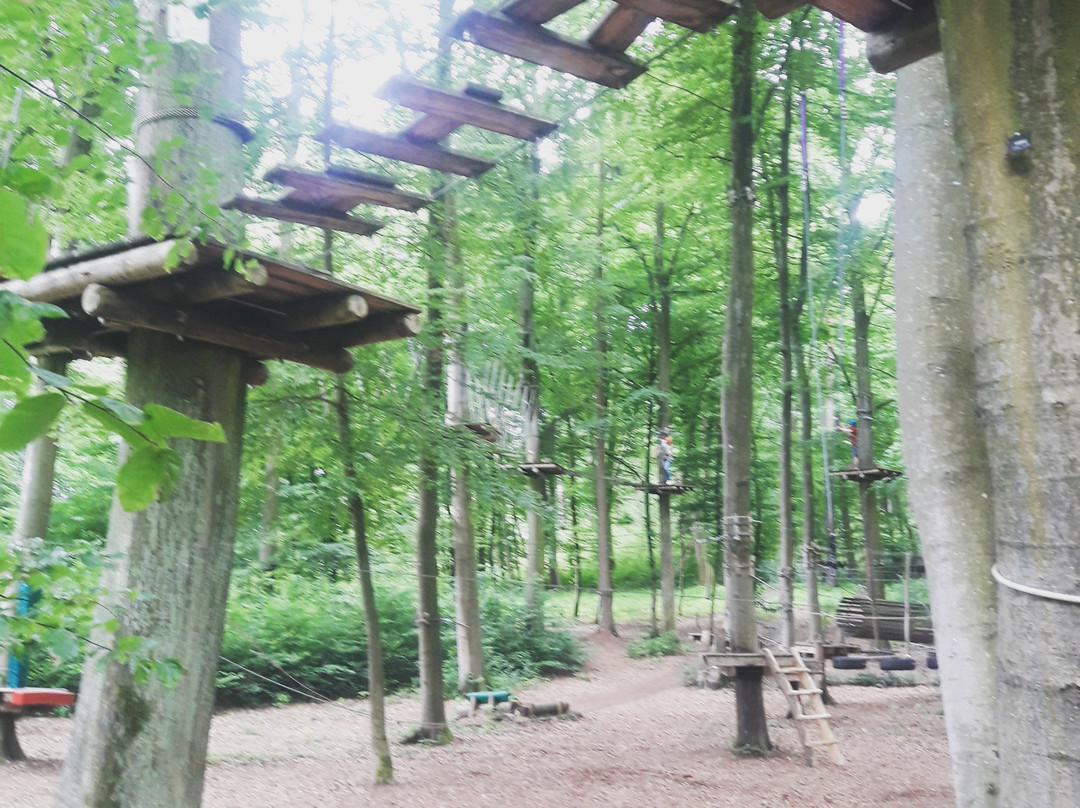 K1 Waldseilpark景点图片
