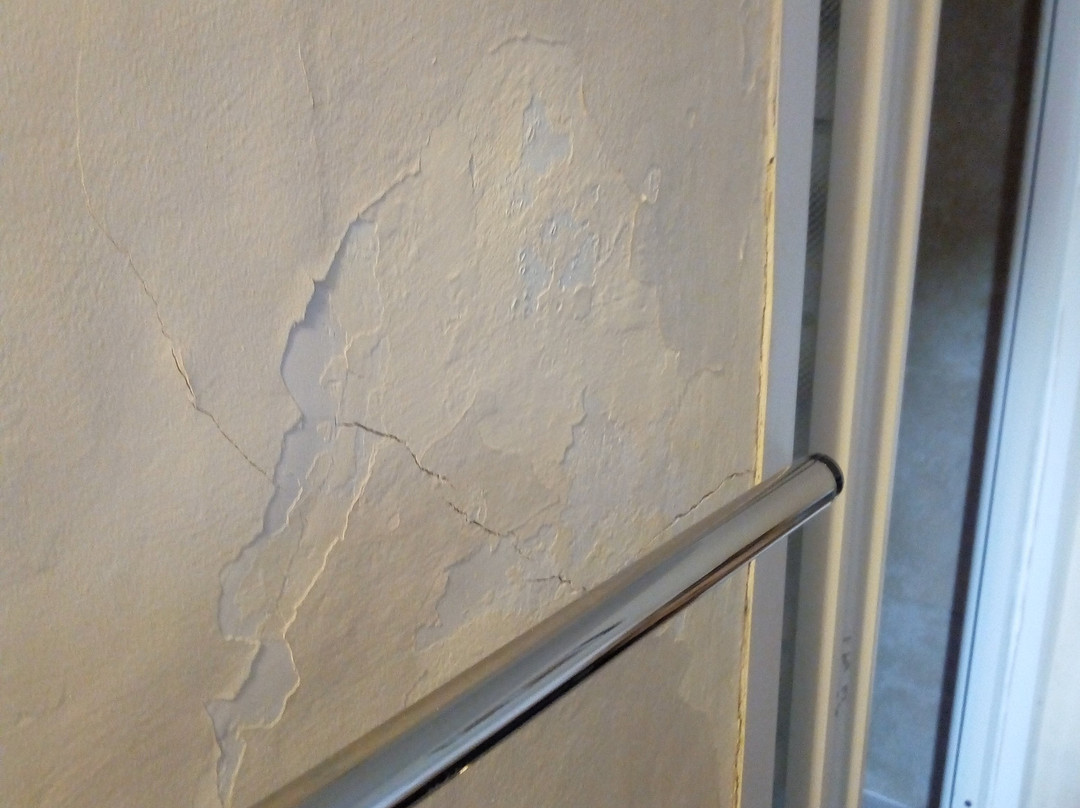 Squirrel Inn at Hurtmore主图