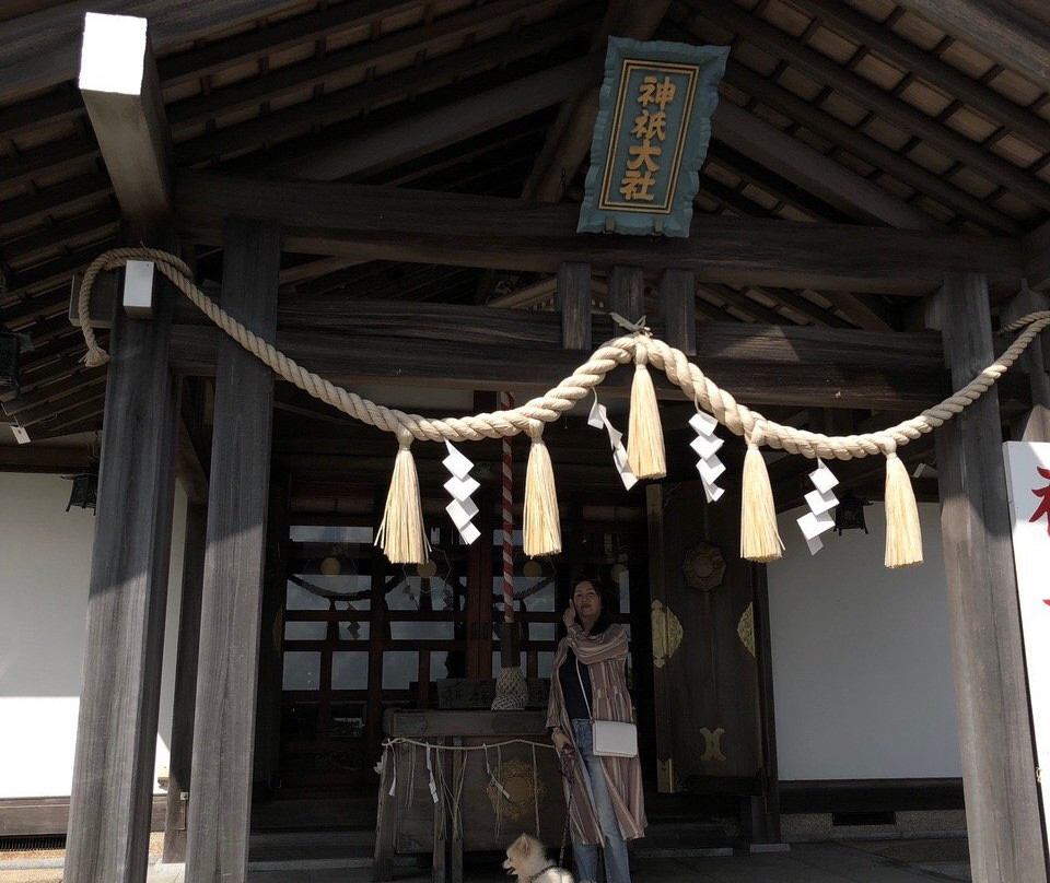 Jingi Taisha Shrine景点图片