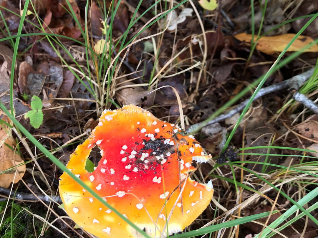 Natuurgebied Oranjezon-Vrouwenpolder必去景点