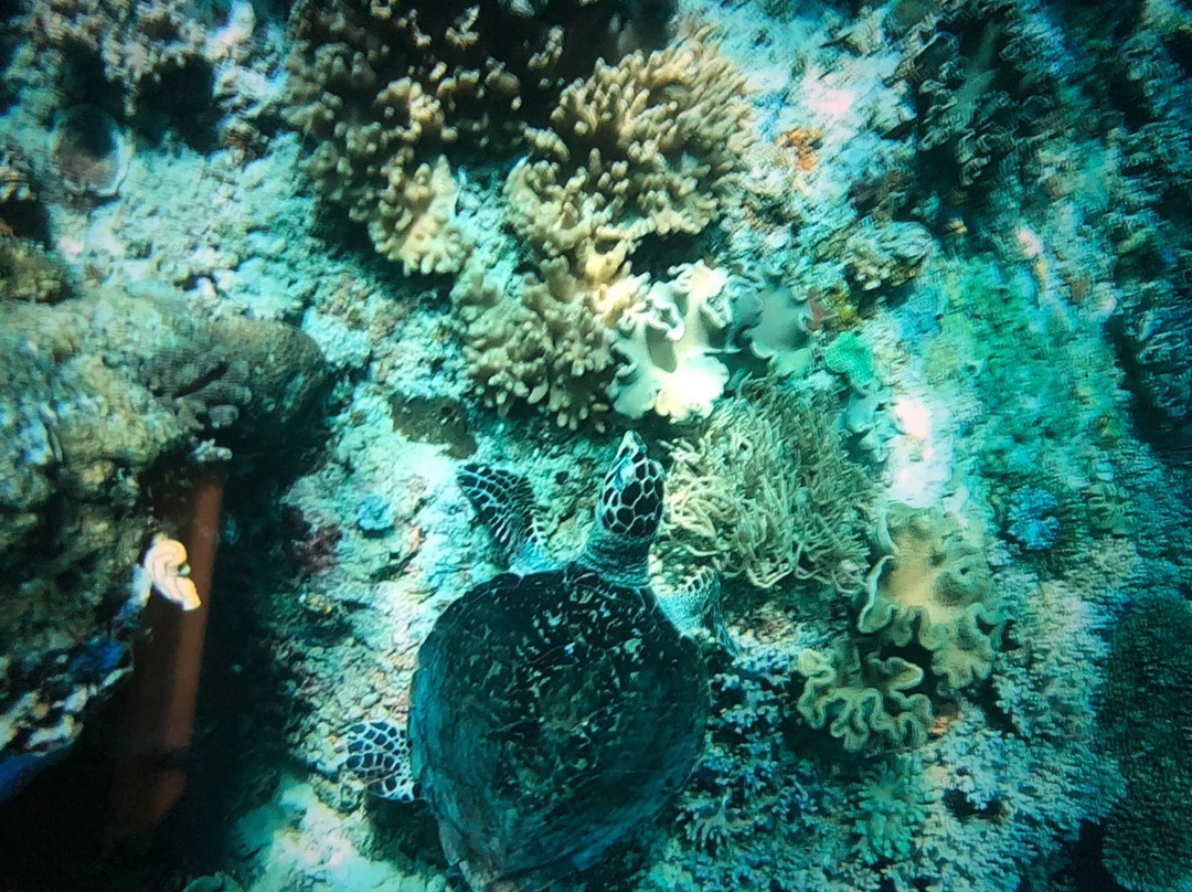 Friwen Island-Friwen必去景点