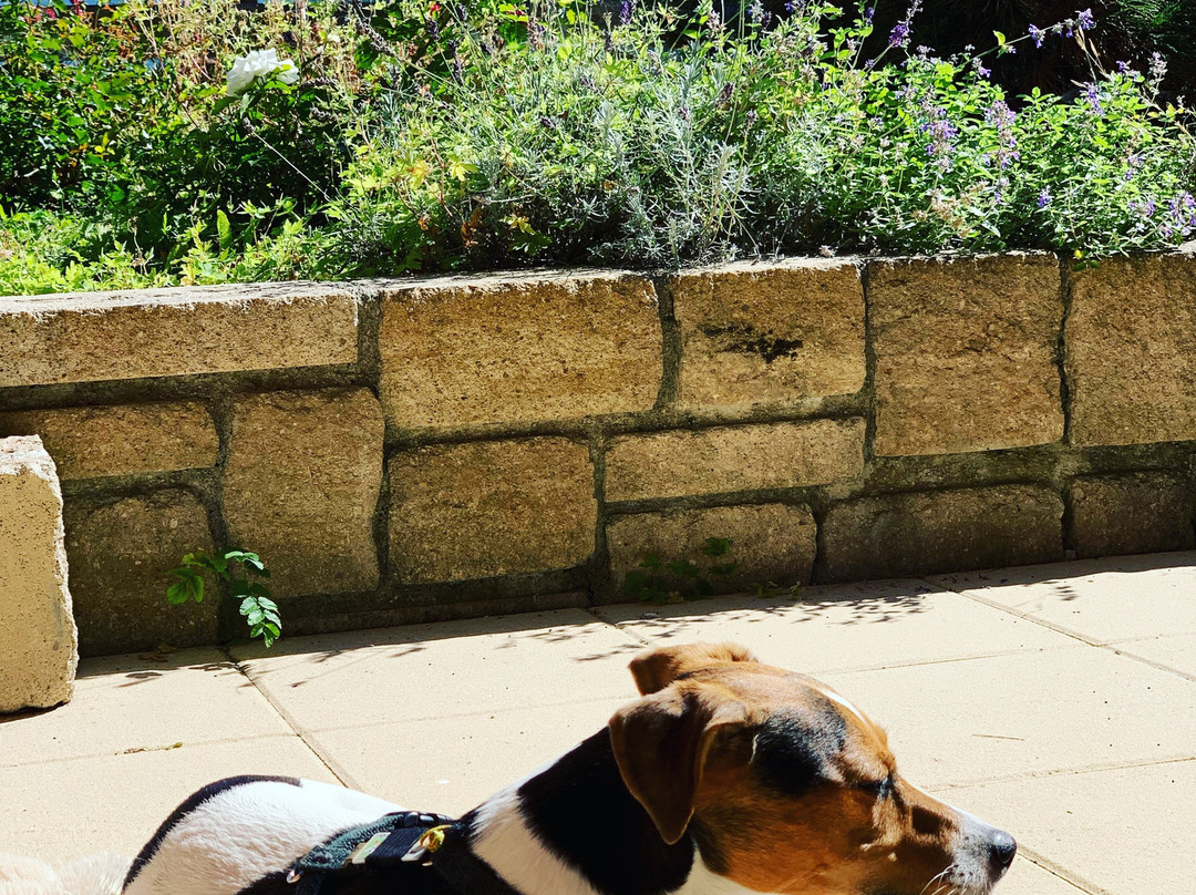 Das Bärenhotel主图