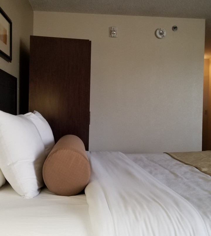 Best Western Plus York Hotel & Conference Center主图