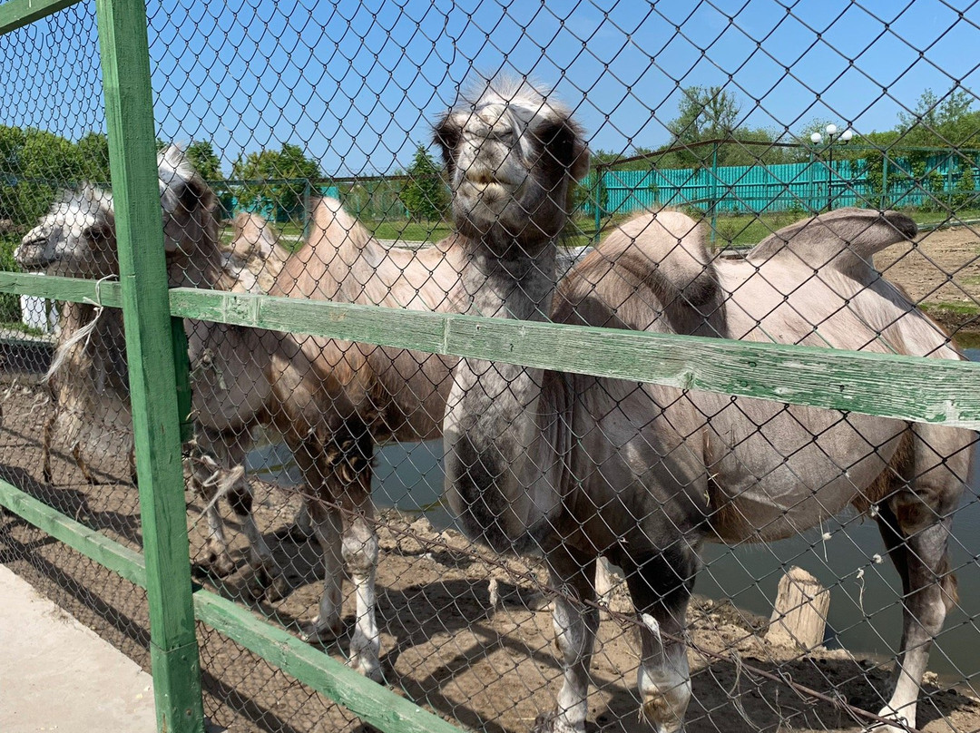 Aragon-哈巴罗夫斯克必去景点