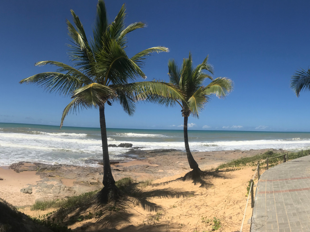 Costa do Sauipe Beach景点图片