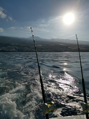 TAMBO Fishing-洛斯·吉甘特斯必去景点