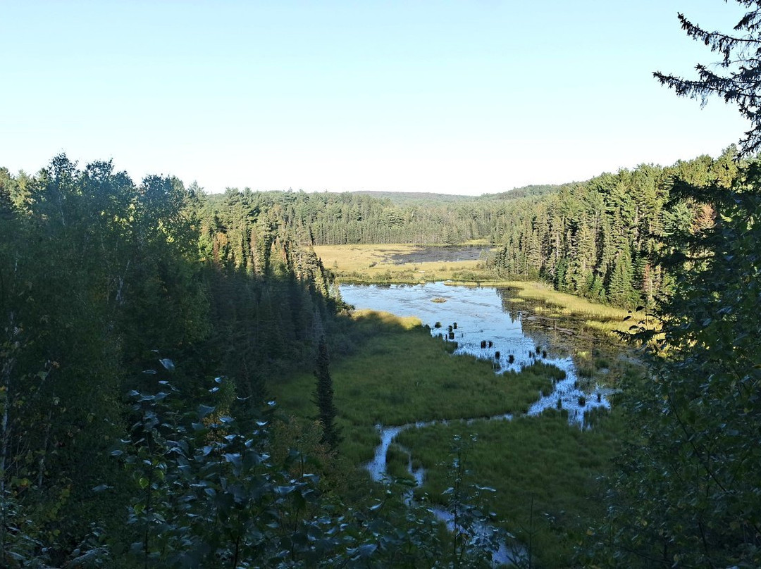 Beaver Pond Trail-阿冈昆公园必去景点