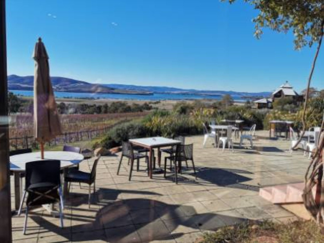 StelaVino Guided Wine Tours景点图片
