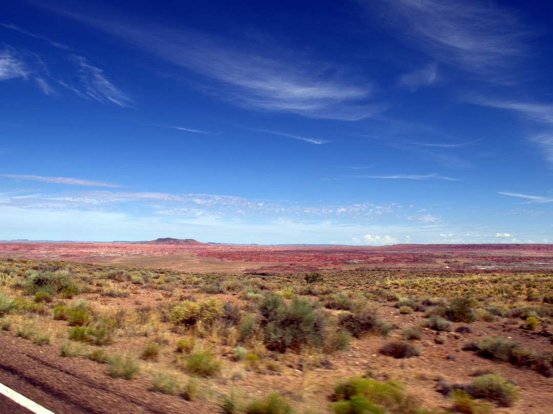Painted Desert景点图片