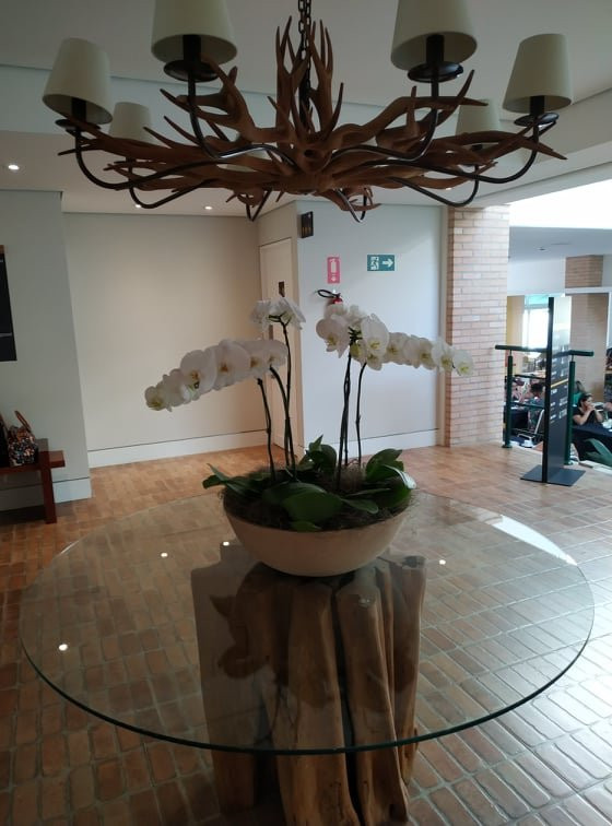 Hotel Vitória Express Dom Pedro主图