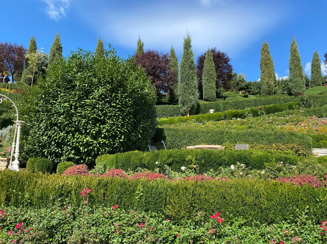 I Giardini di Zoe景点图片