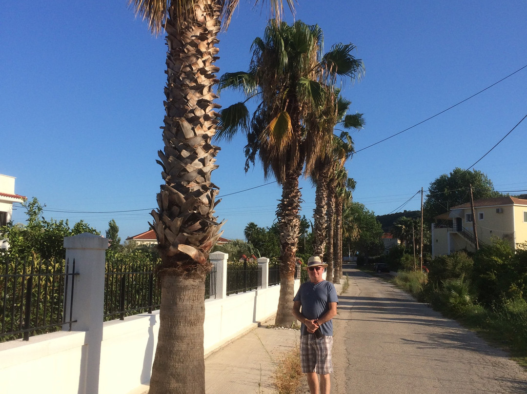 Eryphilli Studios主图