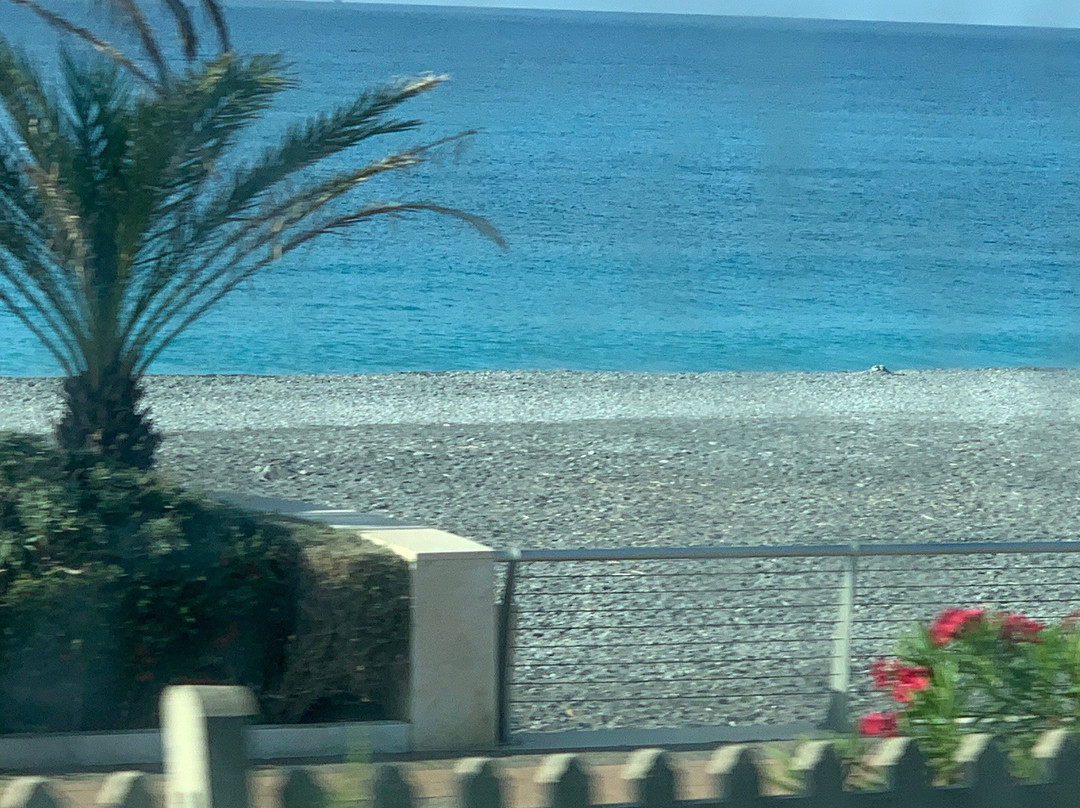 Spiaggia dei Cani景点图片