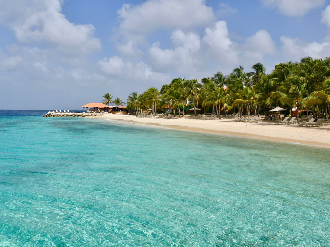 Harbour Village Beach Club主图