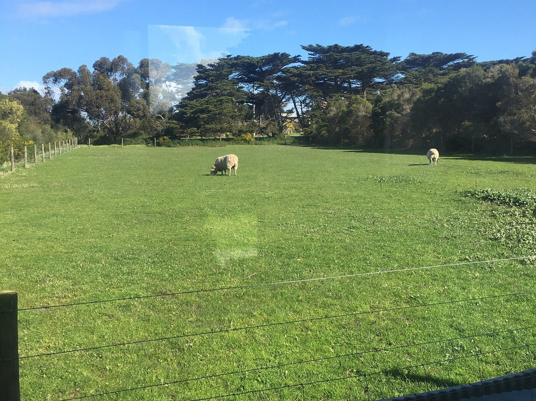 Bimbadeen Phillip Island主图