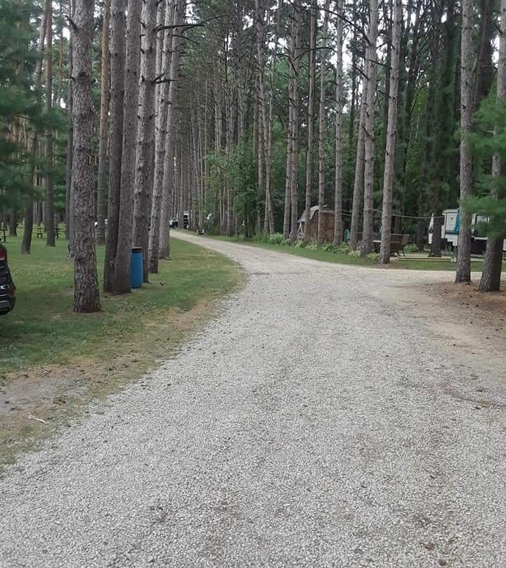 Pine View Campgrounds-Amboy必去景点