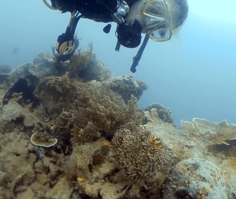 Jakarta Ocean Dive-雅加达必去景点