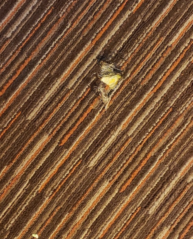 Coratel Inn & Suites Stillwater主图