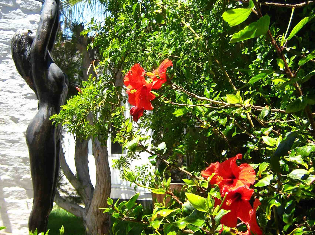 Alternative Space B & B主图