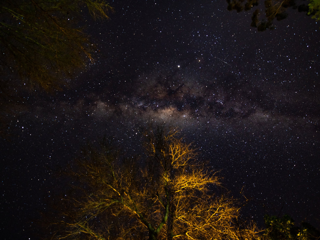 Bartholomeus Klip Farmhouse主图