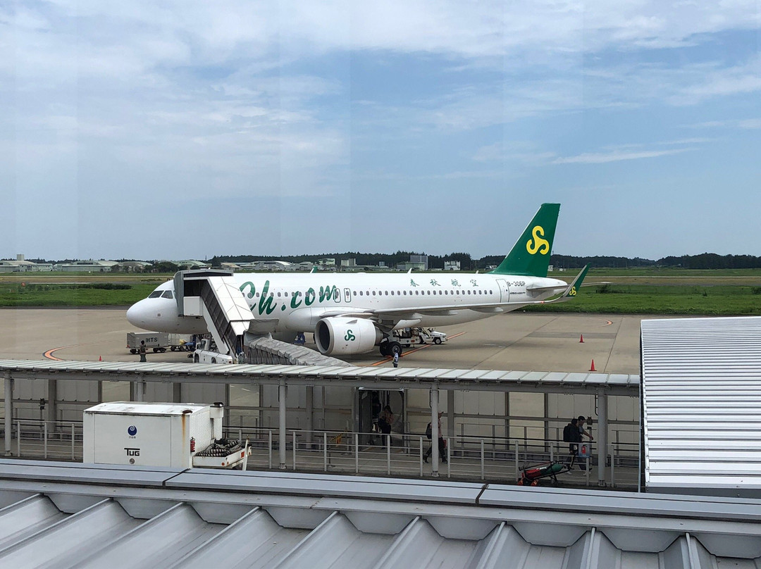 Ibaraki Airport Observation Deck景点图片