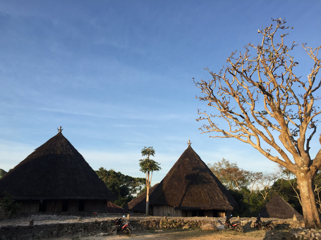 Ruteng Pu'u Village景点图片