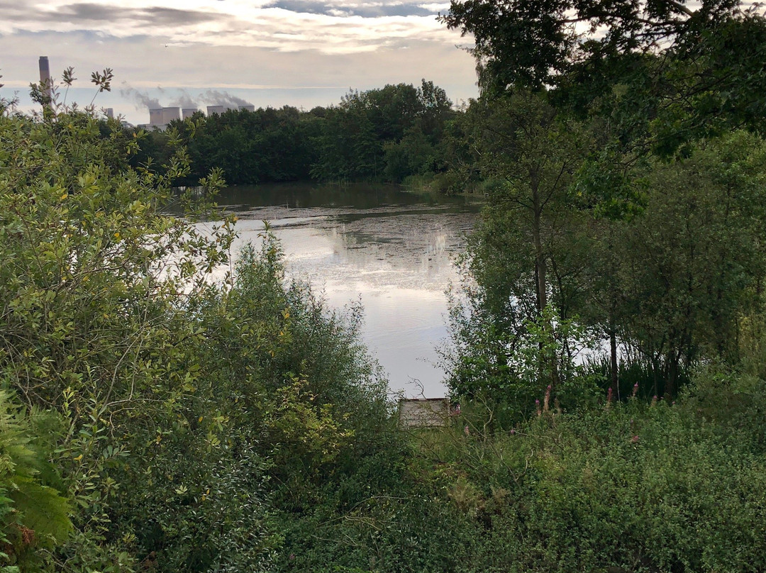 Barlow Common Nature Reserve景点图片