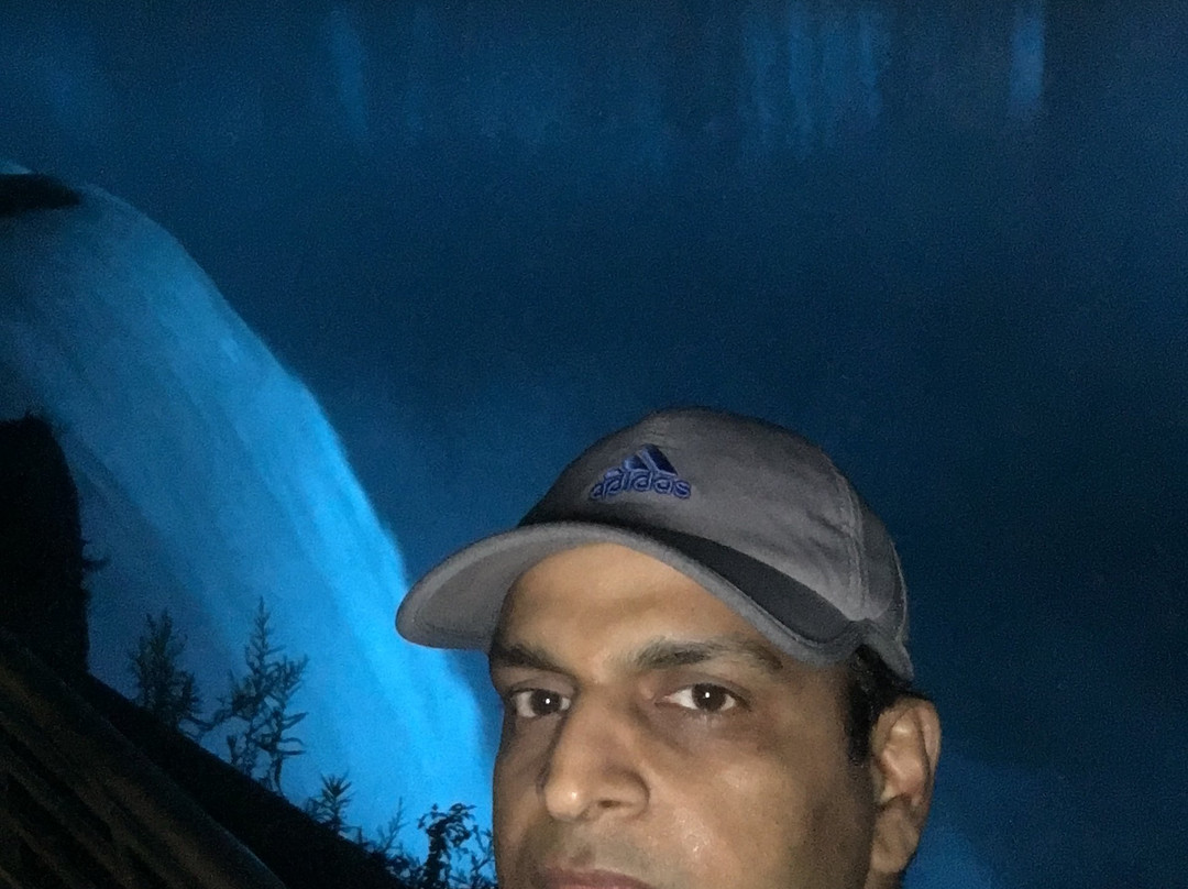 Horseshoe Falls-尼亚加拉大瀑布必去景点