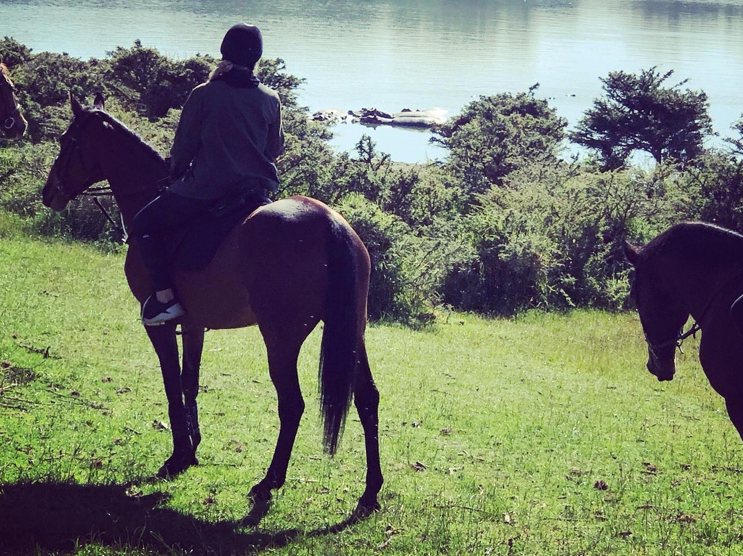 Bellafrica Journeys - Horse Riding Safari景点图片