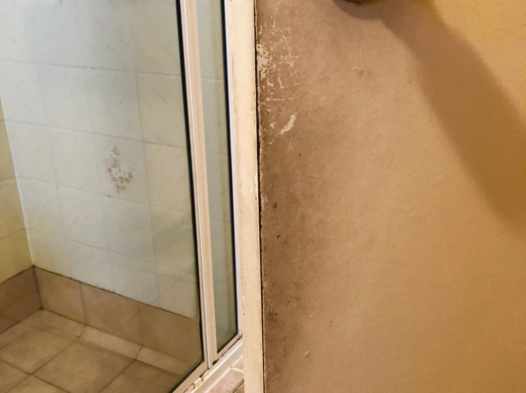 Coral Reef Resort主图