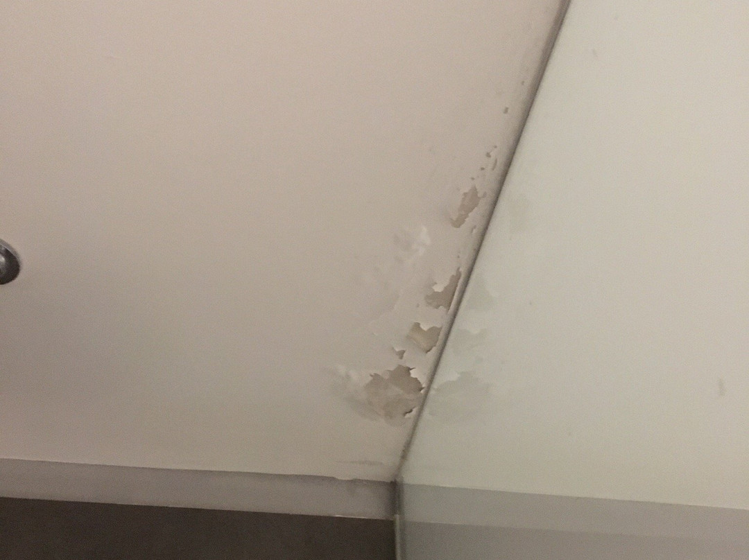 福罗酒店主图