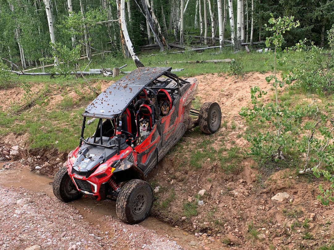 Dixie National Forest-锡达城必去景点