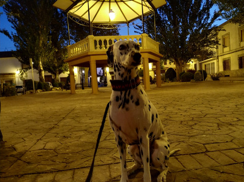 La Villa de Don Fadrique旅游攻略图片