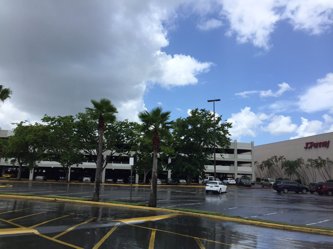 Plaza Carolina-卡罗来纳必去景点