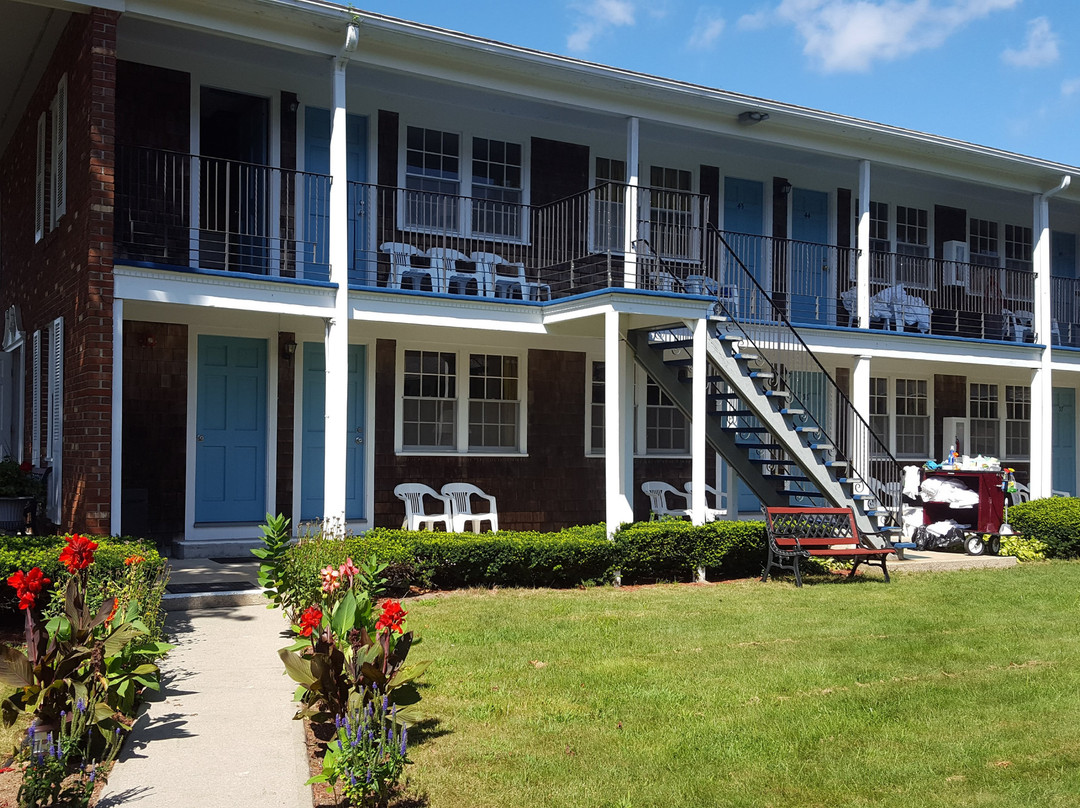 Bluebird Dennisport主图